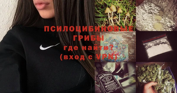 дживик Беломорск