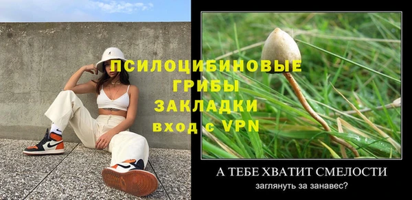 дживик Беломорск