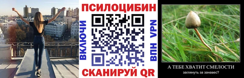 Псилоцибиновые грибы GOLDEN TEACHER  даркнет какой сайт  Щёкино 